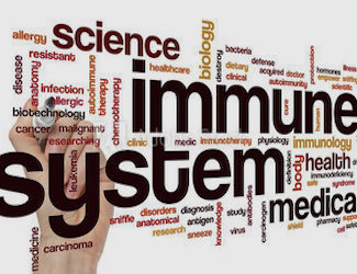 immune-system.jpeg