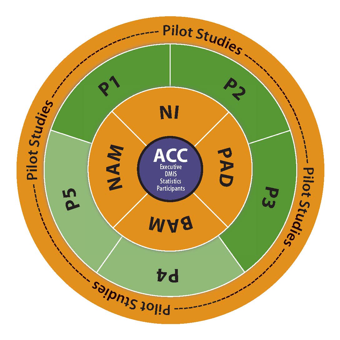 TMARC_Circle_ACC.jpeg