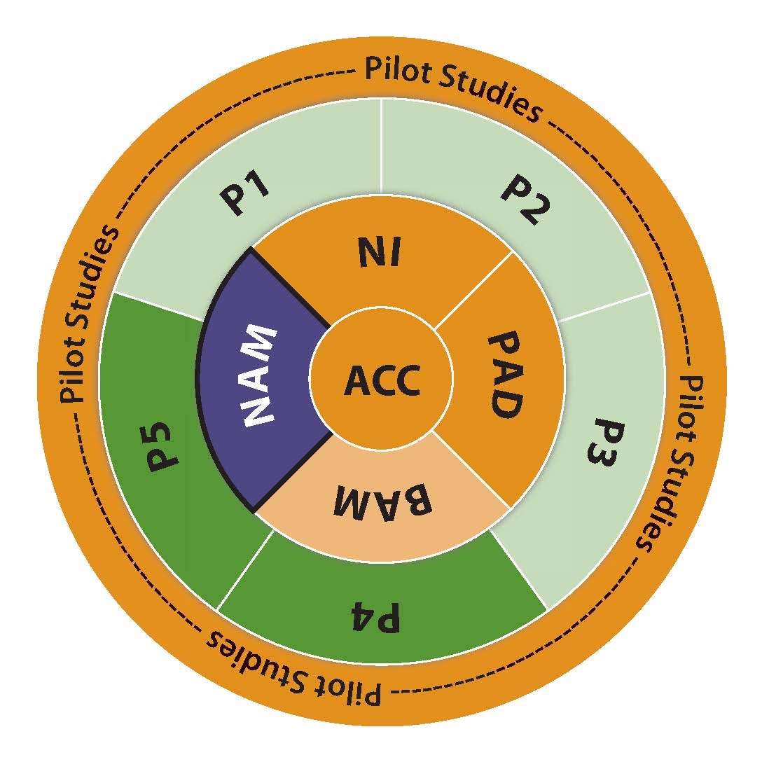 TMARC_Circle_NAM.jpeg